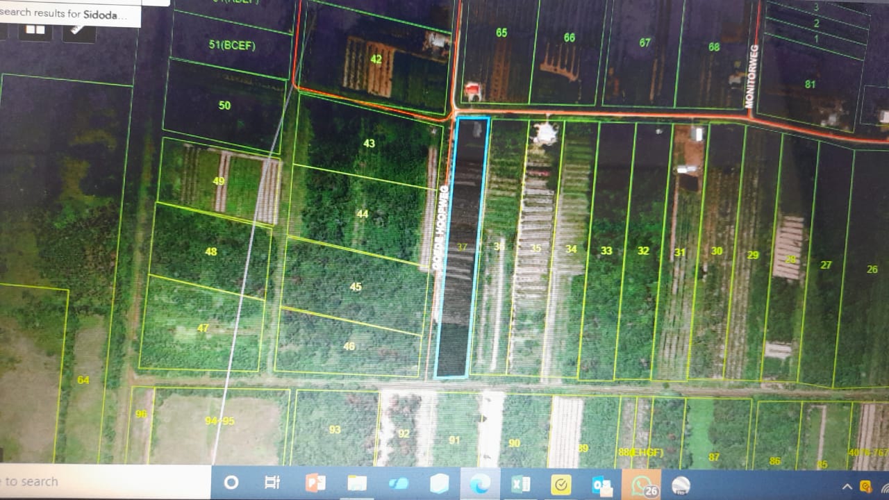 Perceel van 2 ha. Woonhuis en beplant met vruchtbomen, gelegen in het district Saramacca te La Poule.
