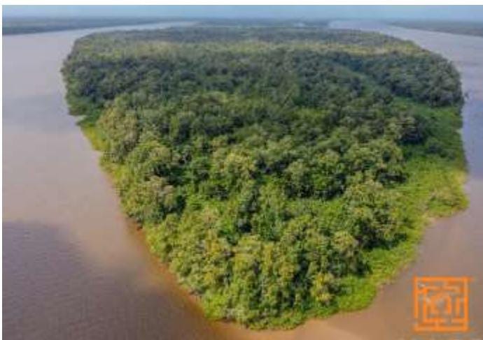 Baboon Eiland ongeveer 1000 ha, gelegen nabij de gigantische olie en gasvelden in Suriname